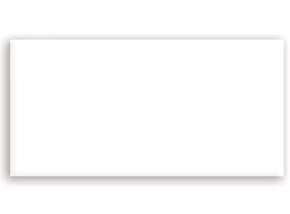 Harmony Gloss White 600x300x10mm