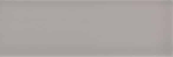 Savoy Dew Gloss 300x100x8 Priced Per Tile