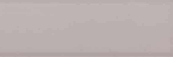 Savoy Steel Gloss 300x100x8 Priced Per Tile