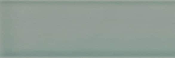 Savoy Leaf Gloss 300x100x8 Priced Per Tile