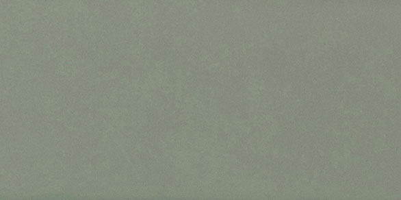 Savoy Sage Gloss 200x100x6.5